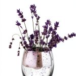 Ylva Verlag German LGBTQ Romance eBook 296 Pages-0