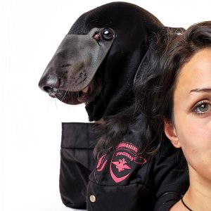 German LGBTQ+ eBook Berlin Verlag Politics Society-0