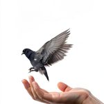 Apocryphile Press Mysticism Spirituality Growth Kindle Book-0